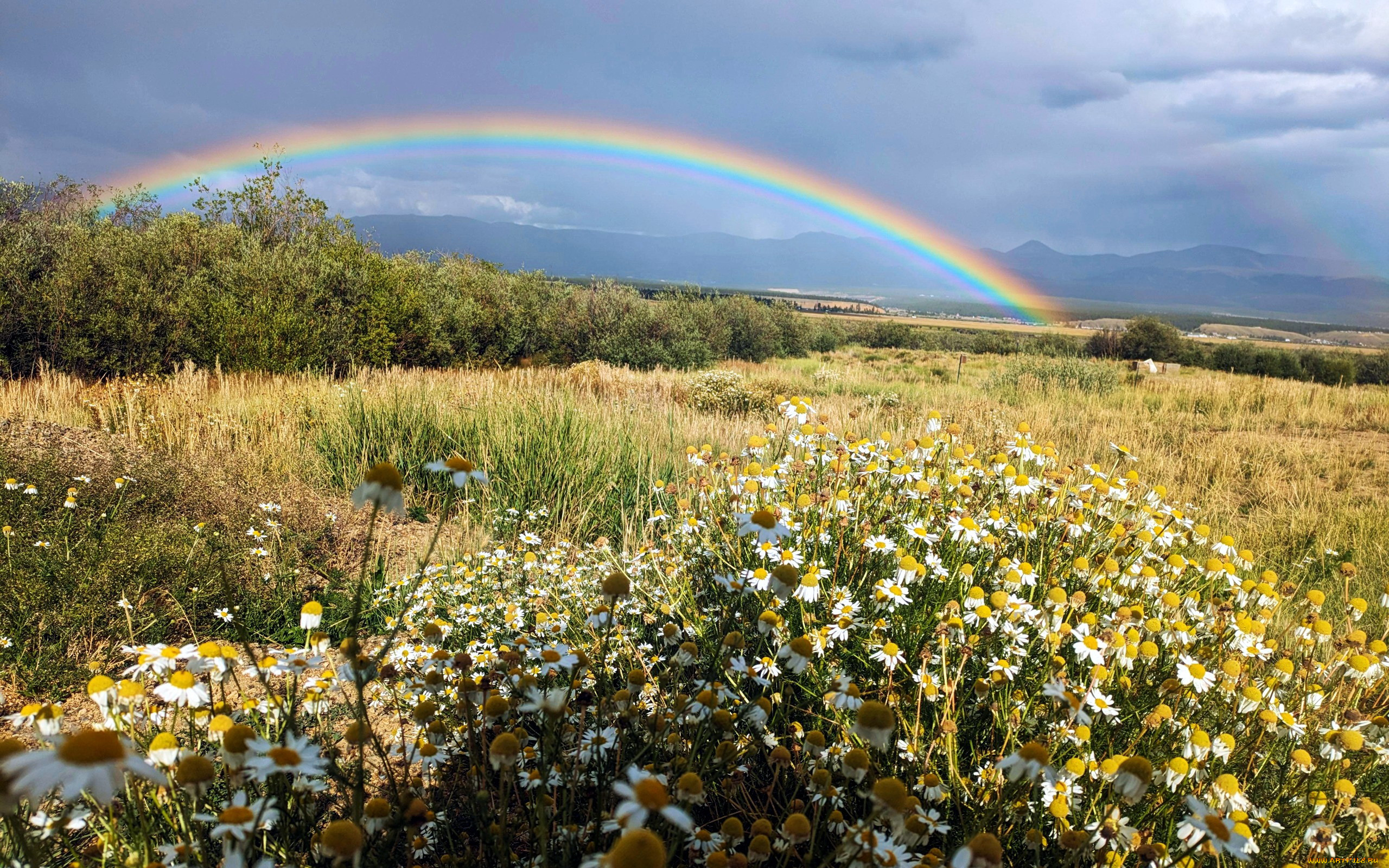 rainbow outside leadville, colorado, , , rainbow, outside, leadville